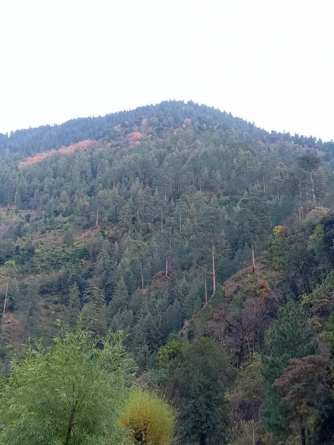 Rrr Resorts Tirthan Valley By Rrr Hotels & Resorts Banjār Esterno foto